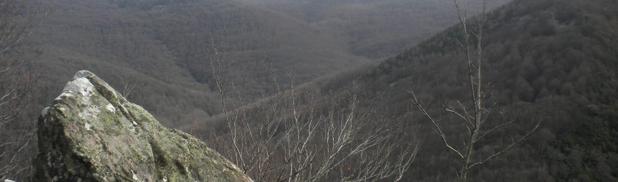 Se constituye en Aribe la primera Mesa del Pirineo