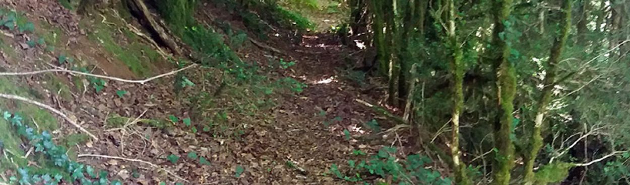 El programa de TVE2, «el señor de los bosques» rodará en Aribe.
