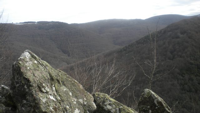 Se constituye en Aribe la primera Mesa del Pirineo