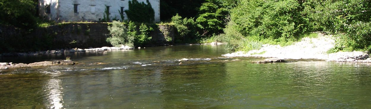 AEZKOAKO EGUNA EN ARIBE