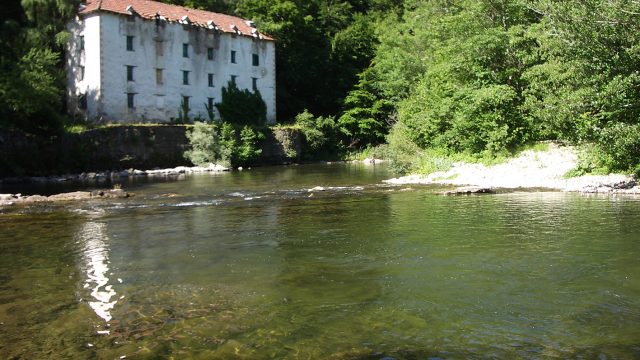 AEZKOAKO EGUNA EN ARIBE