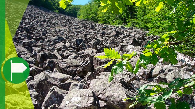 Sendero Oroz Betelu-Olaldea