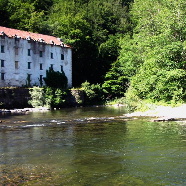 Sendero Aribe I (CERRADOS TRAMOS 14-20)
