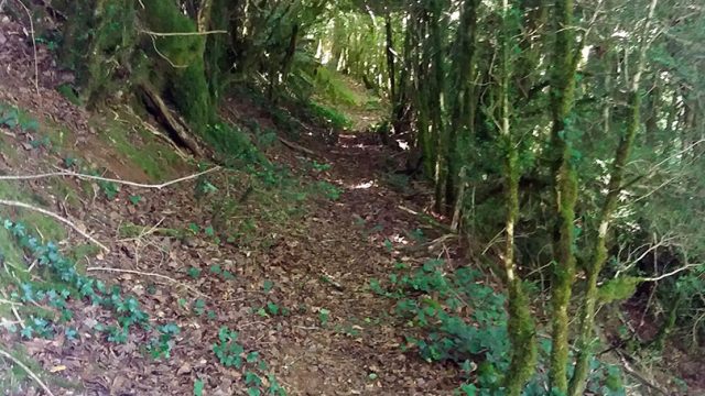 El programa de TVE2, «el señor de los bosques» rodará en Aribe.